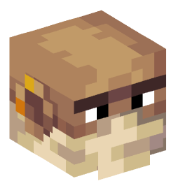 Minecraft head — People