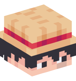 Minecraft head — People