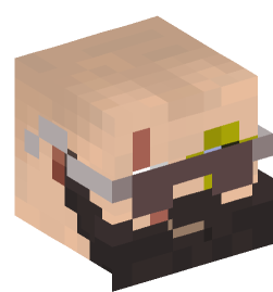 Minecraft head — People