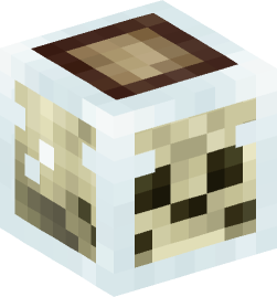 Minecraft head — Decor