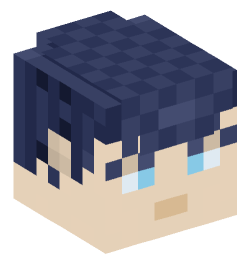 Minecraft head — People