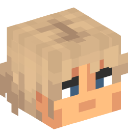 Minecraft head — People