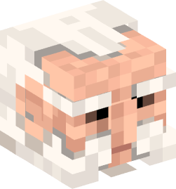 Minecraft head — People