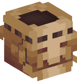 Minecraft head — Decor