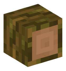 Minecraft head — Blocks