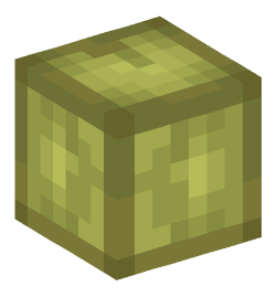 Minecraft head — Plants