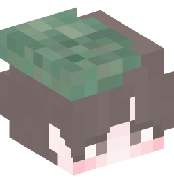 Minecraft head — People