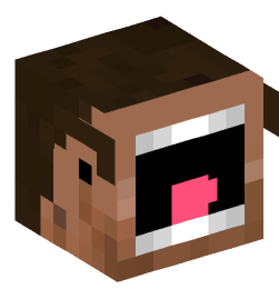 Minecraft head — People