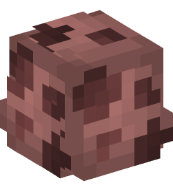 Minecraft head — Decor