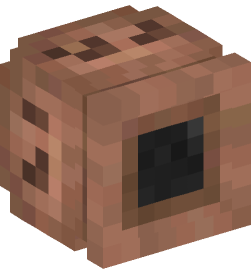 Minecraft head — Decor