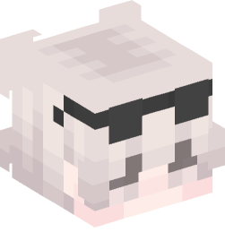 Minecraft head — People