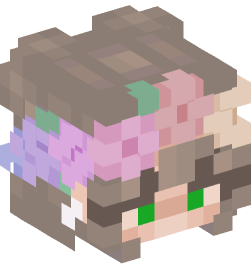 Minecraft head — People