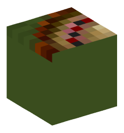 Minecraft head — Decor