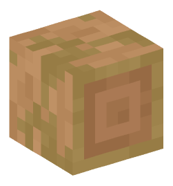 Minecraft head — Blocks