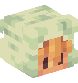 Minecraft head — People