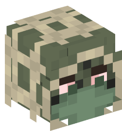 Minecraft head — People