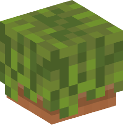 Minecraft head — Plants