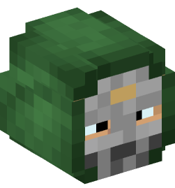 Minecraft head — People