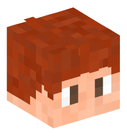 Minecraft head — People