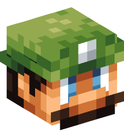 Minecraft head — People