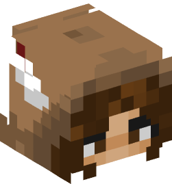 Minecraft head — People