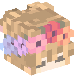 Minecraft head — People