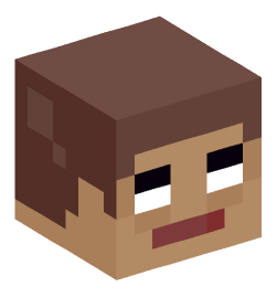 Minecraft head — Miscellaneous