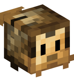 Minecraft head — Decor