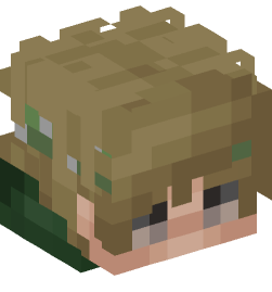 Minecraft head — People