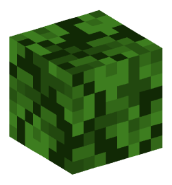 Minecraft head — Plants