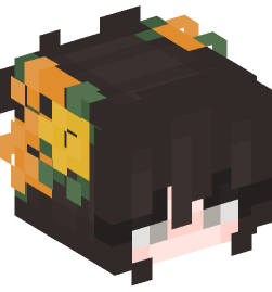 Minecraft head — People