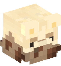 Minecraft head — Decor