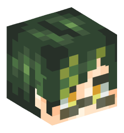 Minecraft head — People