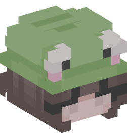 Minecraft head — People