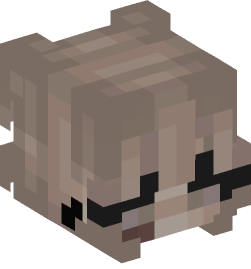 Minecraft head — Creatures