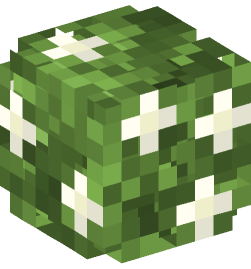 Minecraft head — Plants