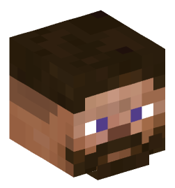 Minecraft head — People