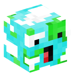 Minecraft head — Miscellaneous