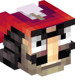 Minecraft head — People