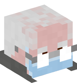 Minecraft head — People