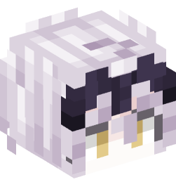 Minecraft head — People