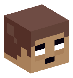 Minecraft head — Miscellaneous