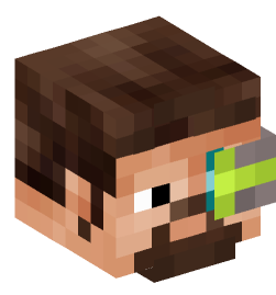 Minecraft head — People