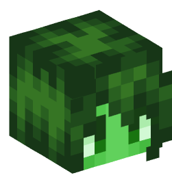 Minecraft head — Creatures