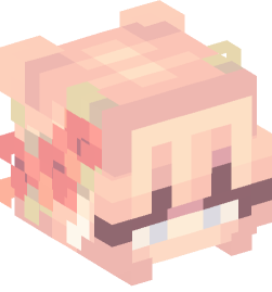 Minecraft head — People