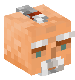 Minecraft head — People