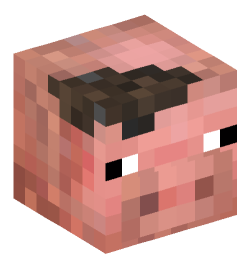 Minecraft head — Animals