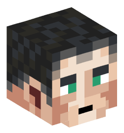 Minecraft head — People