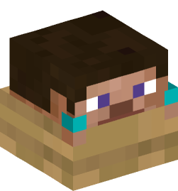 Minecraft head — Decor