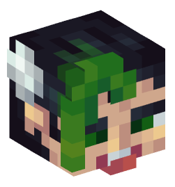 Minecraft head — People